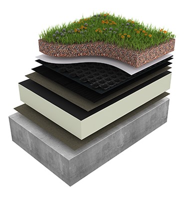 Derbigum Warm Roof with Green Roof