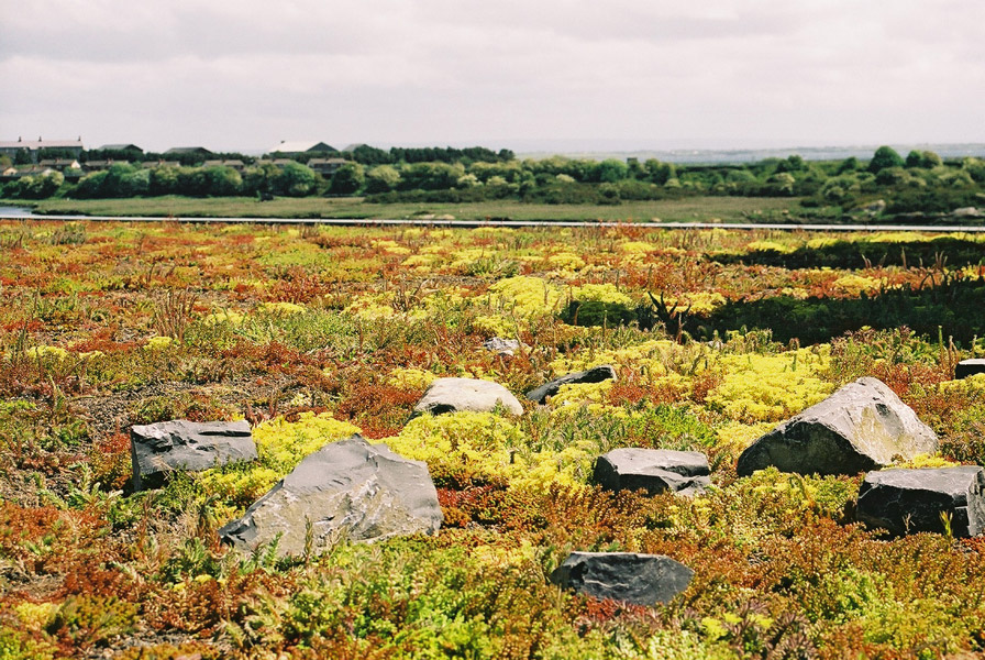 Lough Atalia