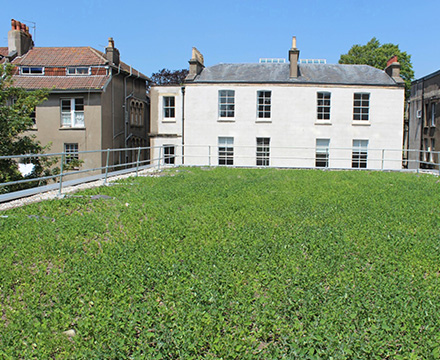 The University of Bristol