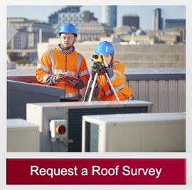Request Survey