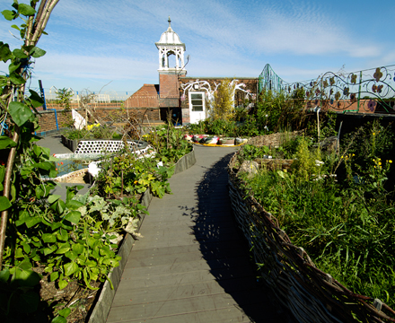 North Harringay School