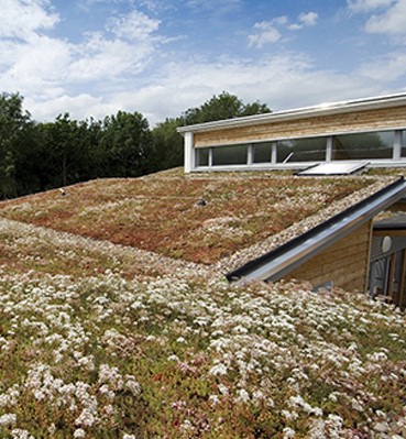 GREEN ROOF SOLUTIONS