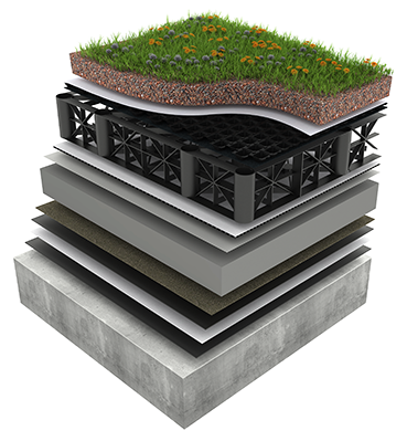 Blue Inverted Roof with Green Roof